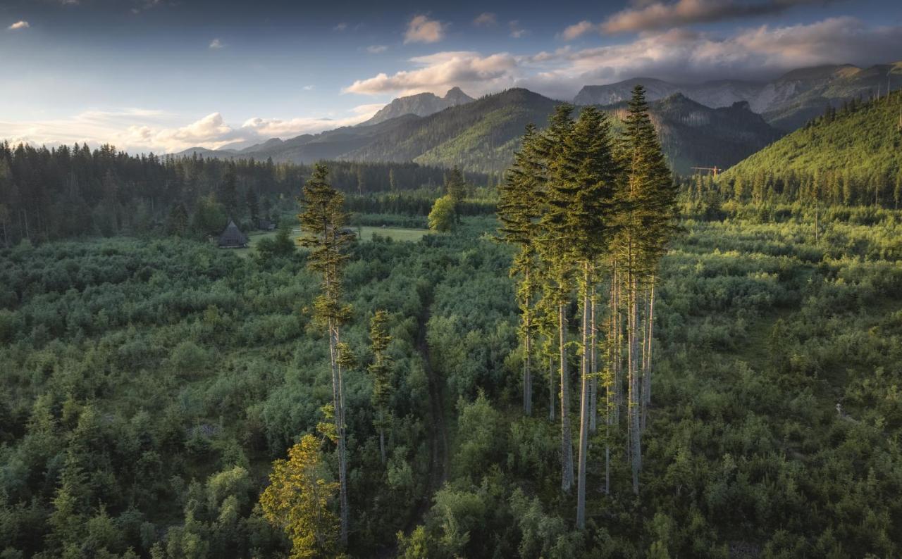 Tatry Zachodnie Villa Witów Kültér fotó